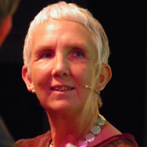 Ann Cleeves Author