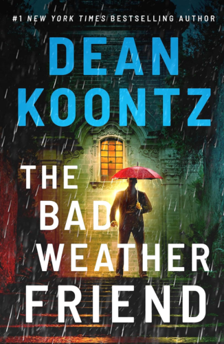 The Bad Weather Friend Book Cover